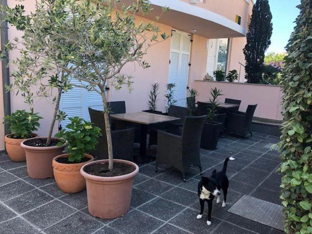 Apartments Eda Baška Εξωτερικό φωτογραφία
